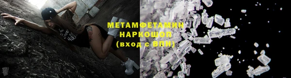прущие грибы Волосово