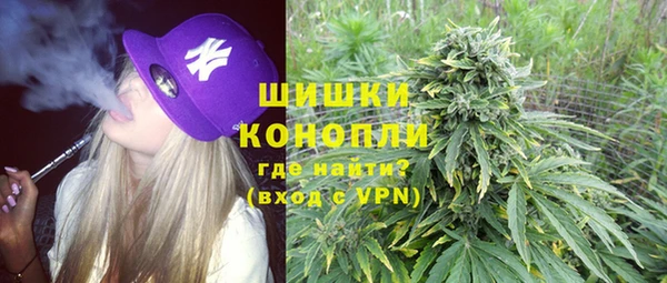 тгк Вяземский