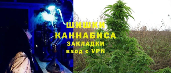 тгк Вяземский