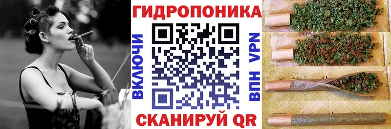 Каннабис индика  сколько стоит  ОМГ ОМГ ТОР  Зерноград 